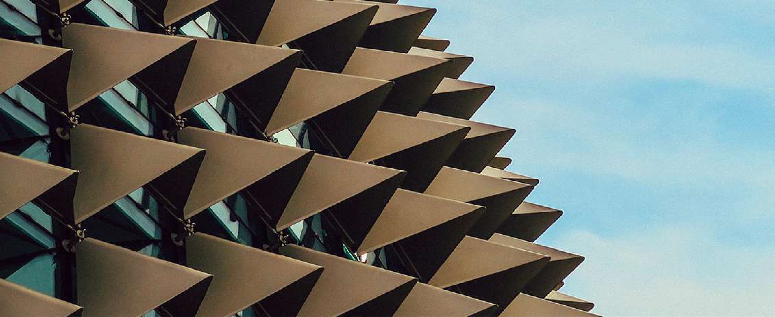 Dynamická konvexita